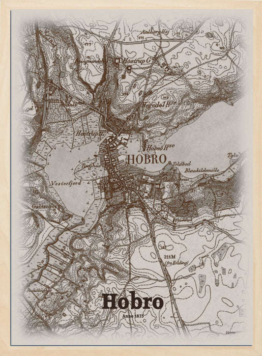 Hobro anno år 1875 | retro plakat fra din HjemEgn | hurtig levering og høj kvalitet [køb nu] 